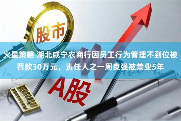 火星策略 湖北咸宁农商行因员工行为管理不到位被罚款30万元，责任人之一周良强被禁业5年