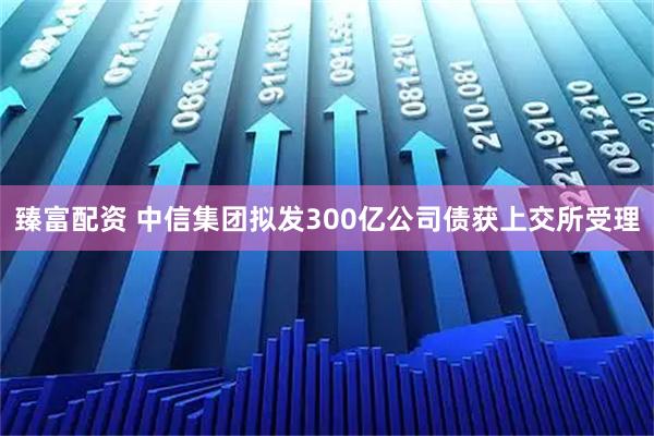 臻富配资 中信集团拟发300亿公司债获上交所受理