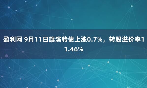 盈利网 9月11日旗滨转债上涨0.7%，转股溢价率11.46%