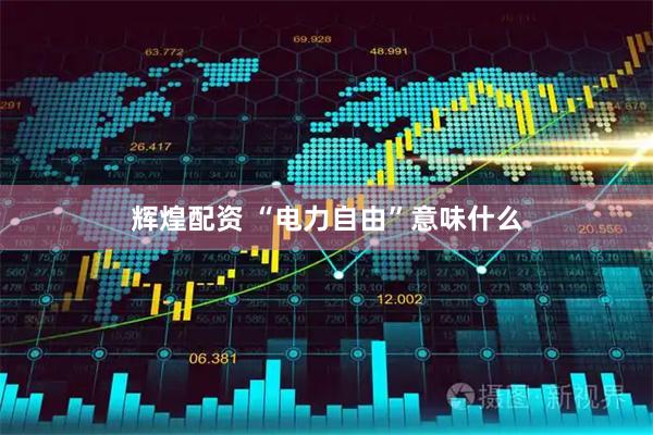 辉煌配资 “电力自由”意味什么