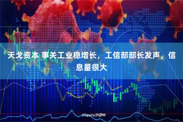 天戈资本 事关工业稳增长，工信部部长发声，信息量很大