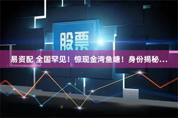 易资配 全国罕见！惊现金湾鱼塘！身份揭秘…
