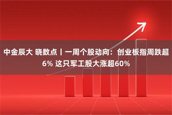 中金辰大 晓数点丨一周个股动向：创业板指周跌超6% 这只军工股大涨超60%