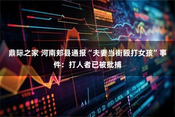 鼎际之家 河南郏县通报“夫妻当街殴打女孩”事件：打人者已被批捕