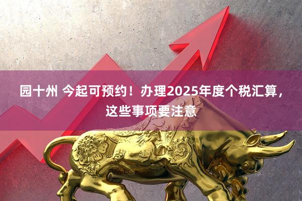 园十州 今起可预约！办理2025年度个税汇算，这些事项要注意