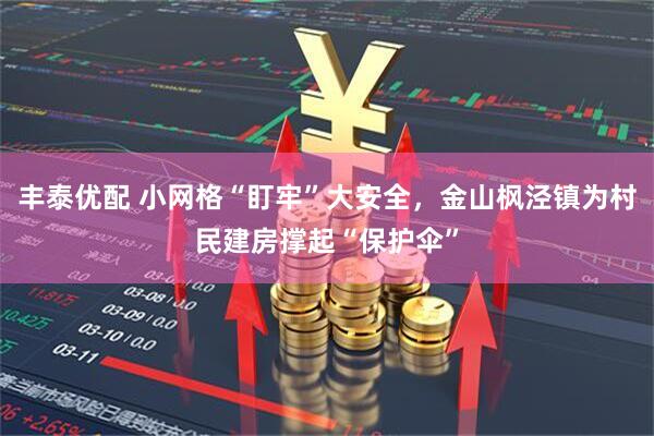 丰泰优配 小网格“盯牢”大安全，金山枫泾镇为村民建房撑起“保护伞”