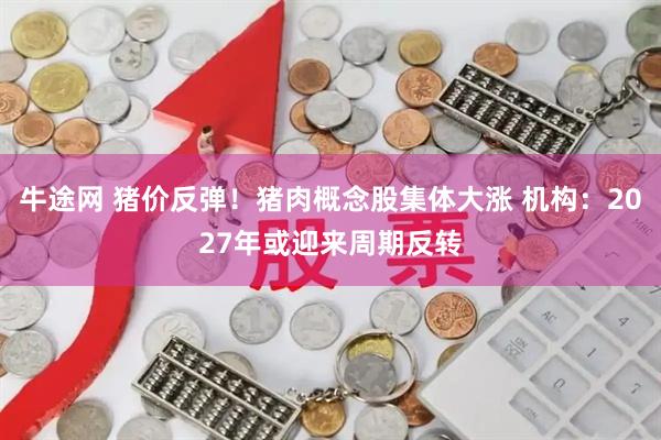 牛途网 猪价反弹！猪肉概念股集体大涨 机构：2027年或迎来周期反转